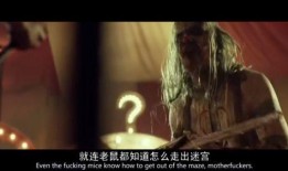 电影三十一在线观看,揭秘电影背后的秘密与激情